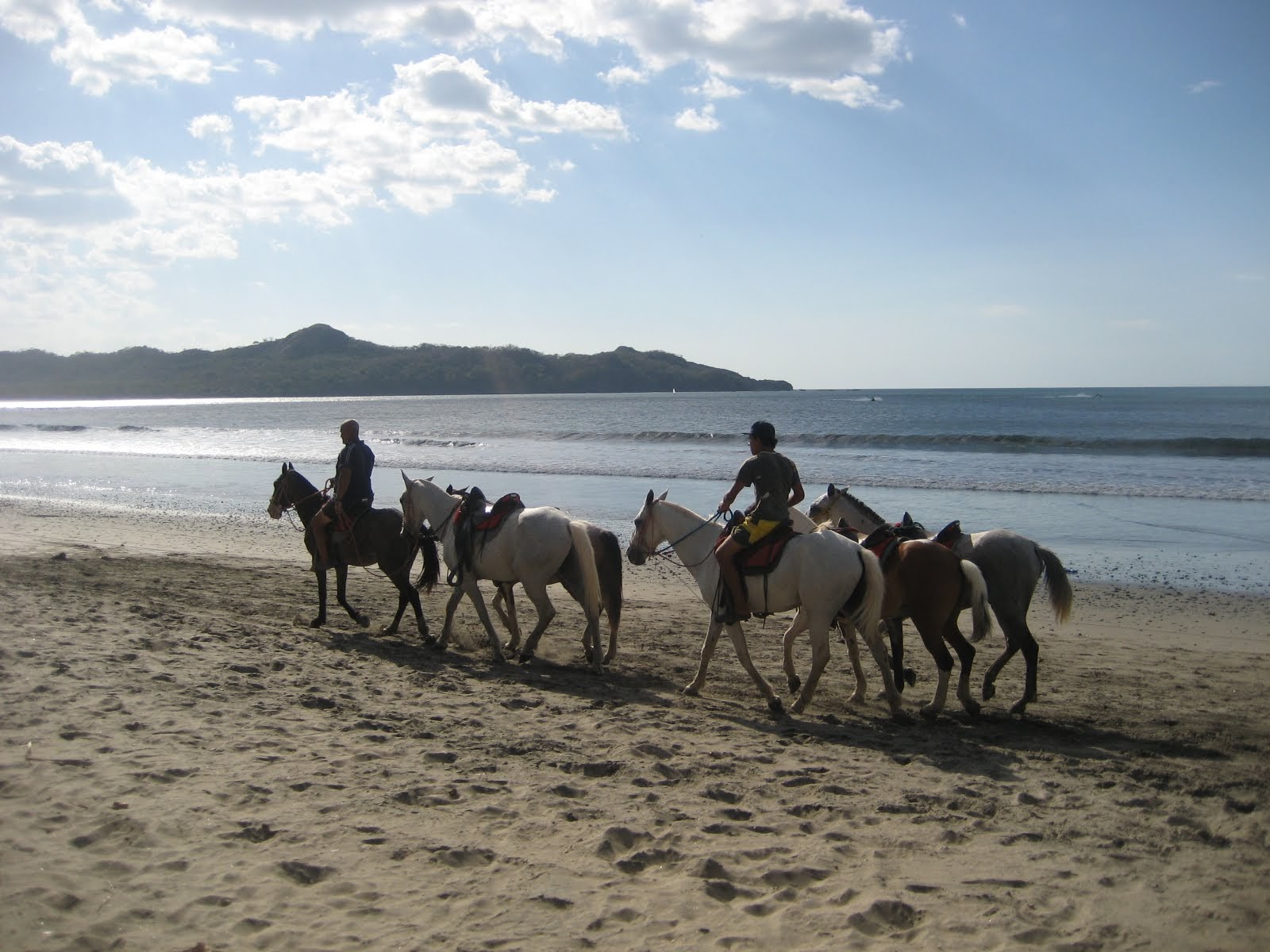 tamarindo